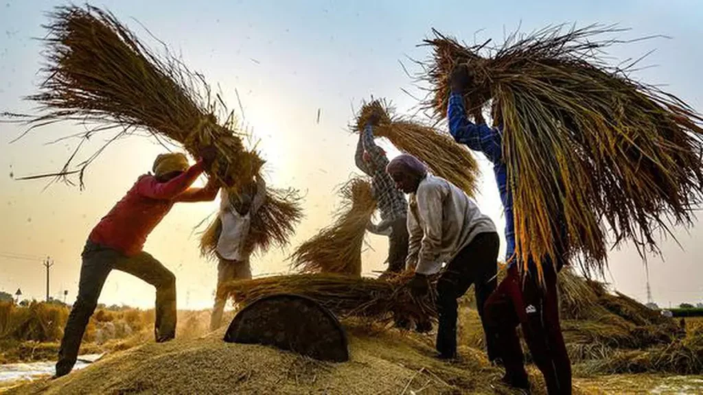 Summer Sowing in India Sees 10% Surge in Paddy Acreage - ભારતમાં ઉનાળુ વાવણી ડાંગરના વાવેતર વિસ્તારમાં 10% ઉછાળો જોવા મળે છે